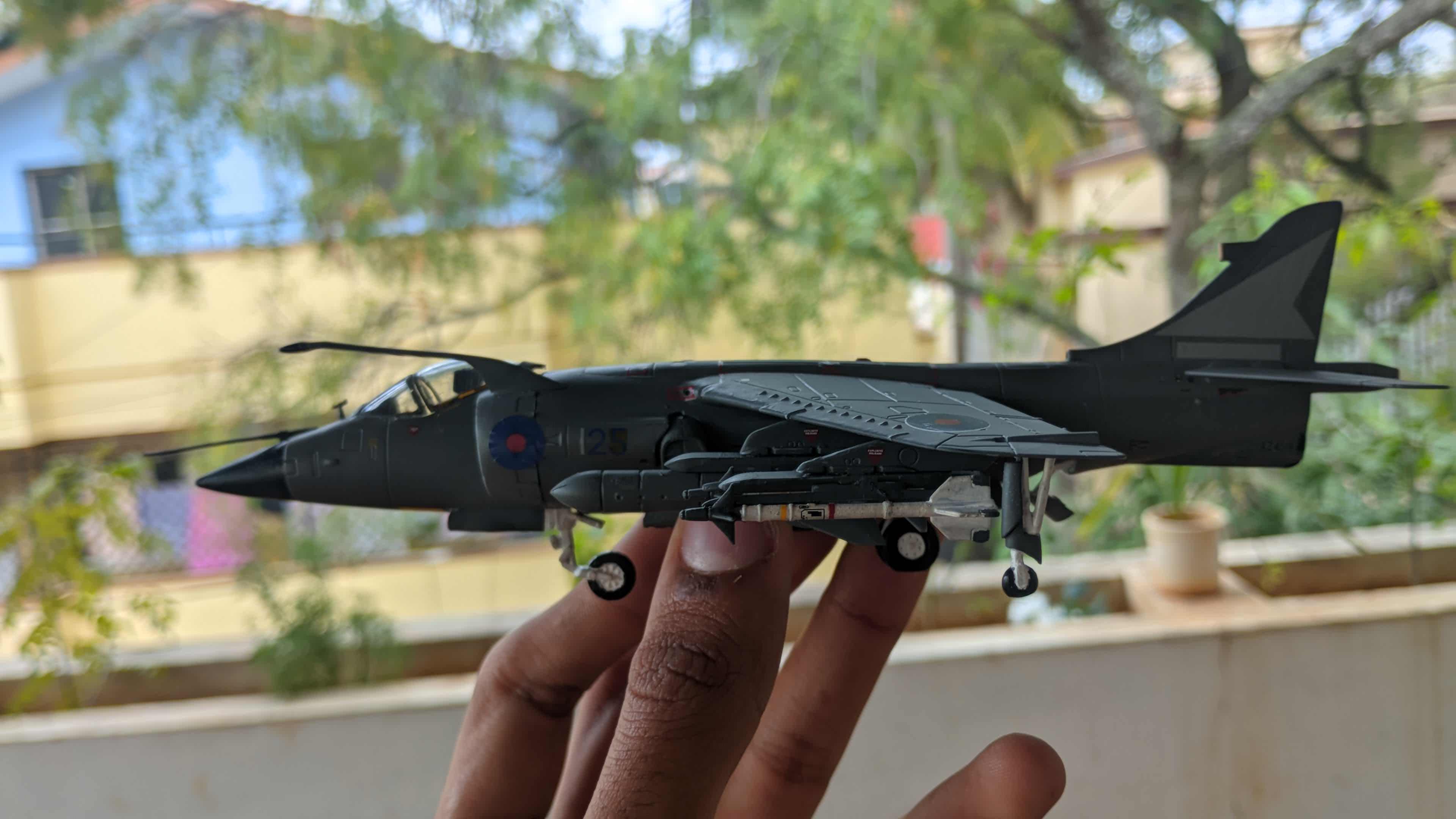 harrier