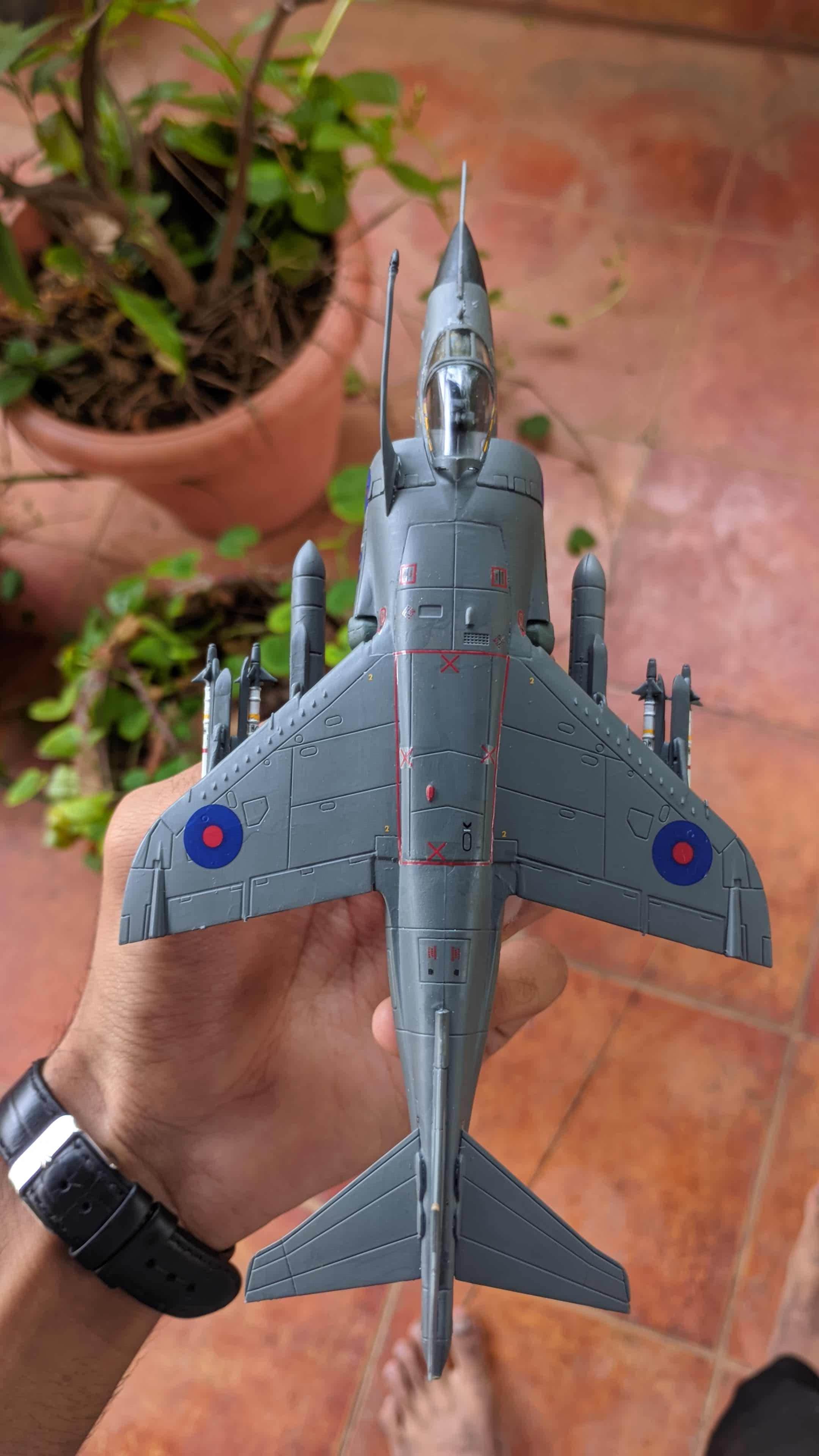 harrier