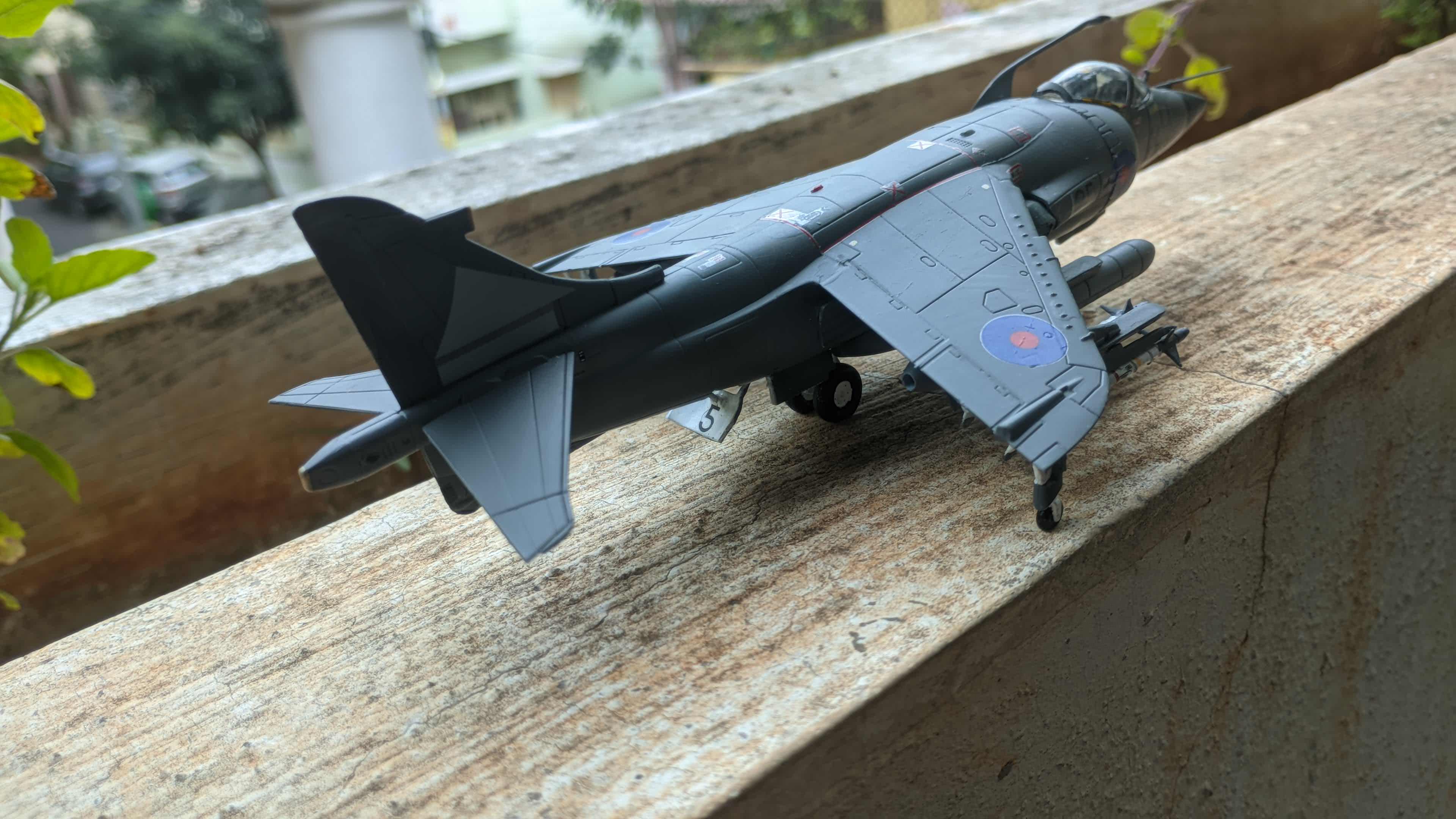 harrier